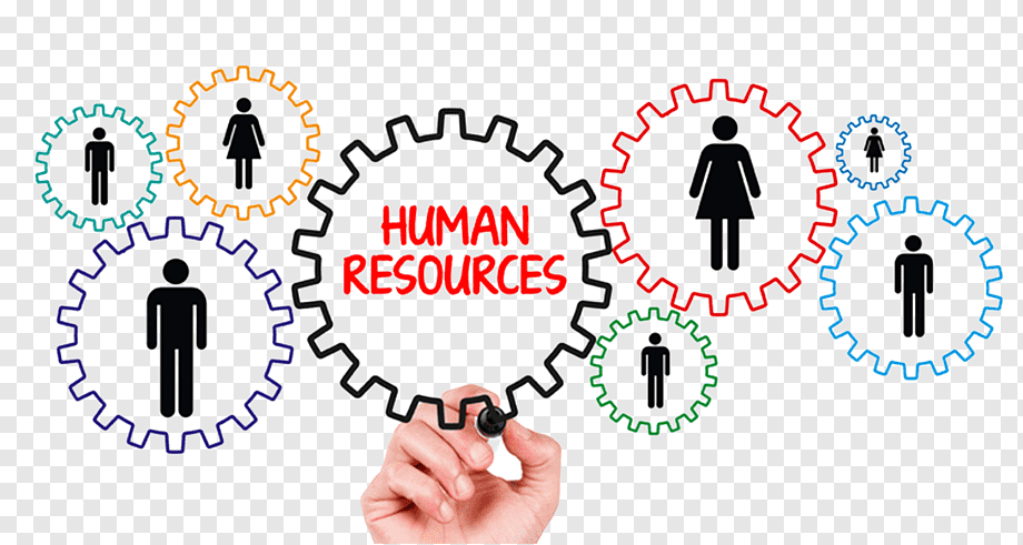 hr Human resources network with gear icons and employee symbols