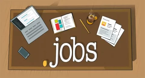 most earning jobs in india Indian startup founder at work