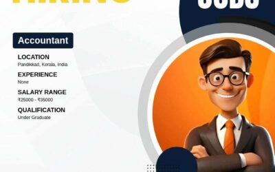 Accountant at Fit My Job