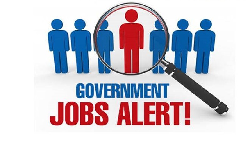 job 12 pass Government job alert with magnifying glass over candidate